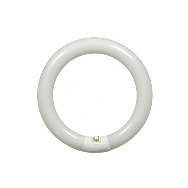 American Imaginations 8.25 in. Cool White Round FC8T9 Circline 22W AI-36969